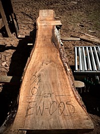 English Walnut